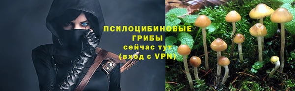 МДМА Арсеньев