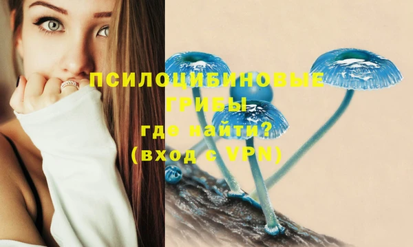 а пвп мука Аркадак