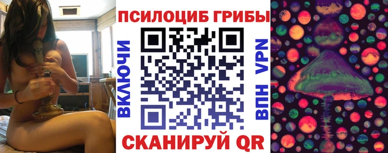 даркнет какой сайт  Белая Холуница  Псилоцибиновые грибы GOLDEN TEACHER  как найти наркотики 