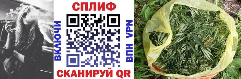 цены наркотик  маркетплейс Telegram  Шишки марихуана SATIVA & INDICA  Белая Холуница  блэк спрут  